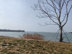 -漕湖湿地公园
