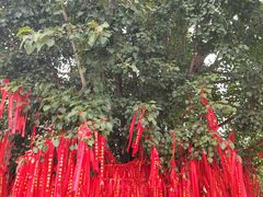 -西双版纳总佛寺