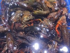 -聚盛源蒸汽海鲜火锅烤肉自助(巨川金海岸购物广场店)