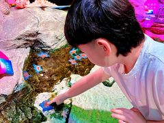 -沈阳海洋探索中心