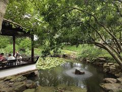 -上海醉白池公园