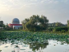 -嬉子湖生态旅游区