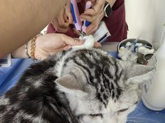 -美联众合动物医院·24h京西诊疗中心