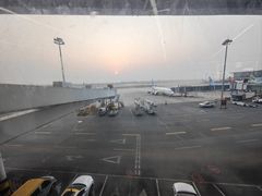 -石家庄正定国际机场-T2航站楼