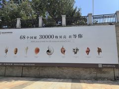 -青岛贝壳博物馆