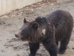 -石家庄市动物园