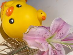 -沈师傅四季烤鸭小馆(荣盛华府店)