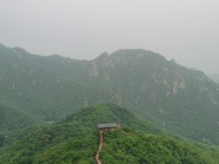-大岭沟猕猴桃谷风景区