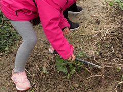 -乡乐园蟹庄·阳澄湖农家乐