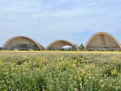 -中国天府农业博览园