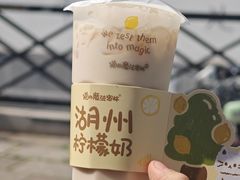-猫的魔法密林(衣裳街店)