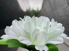 -侵华日军南京大屠杀遇难同胞纪念馆