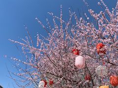 -三里河公园