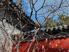 -红螺寺