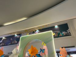 点击看大图 -石家庄苏亚美联臣医疗美容医院