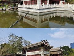 -顺峰山公园