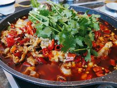 -火胖子肥肠煲·始于1998(南山村店)