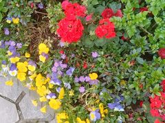 -AdD全日制餐厅(中谷花园酒店)