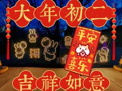 -枫花园汽车电影院(朝阳公园店)