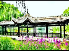 -陶然亭公园