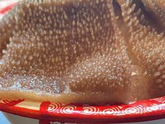 脆毛肚-楠火锅(仁恒梦中心店)