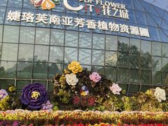 -花之城