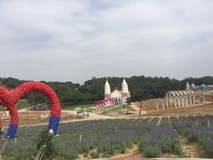 -松山湖梦幻百花洲