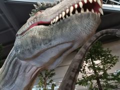 -湖南省地质博物馆