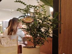 -CURRY YA 熟成咖哩專門店(深圳湾万象城店)