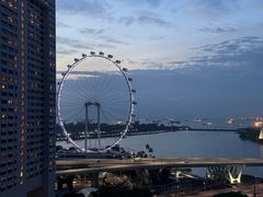 -新加坡文华东方酒店