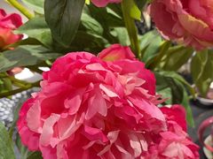 -宫事颐庭·老佛爷贵寿下午茶(颐和园店)