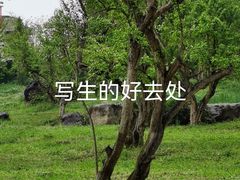 -秀丽东方