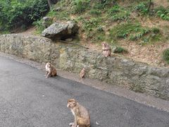 -黔灵山公园