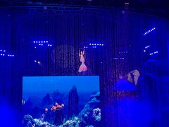 -芜湖新华联大白鲸海洋公园