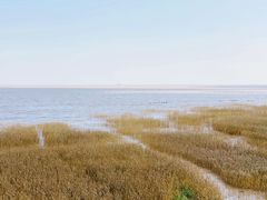 -南汇嘴观海公园