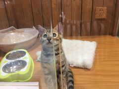 -龟与熊猫宠物公园(南坪店)