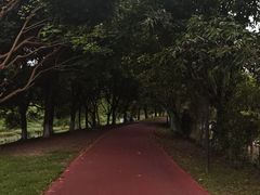 -两河城市森林公园