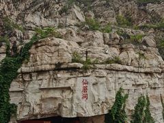 -仙蘑洞