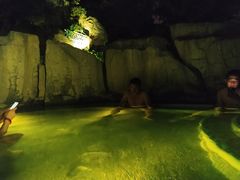 -海口观澜湖火山温泉谷