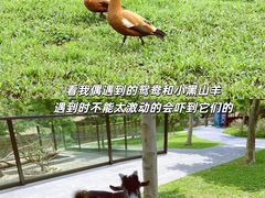 -佛冈森波拉度假区