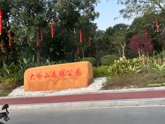 -东莞市大岭山森林公园