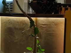 -陶享时光西餐·下午茶(信河街店)