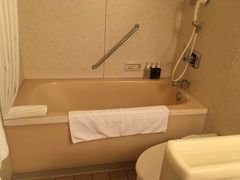 -京都全日空皇冠假日酒店