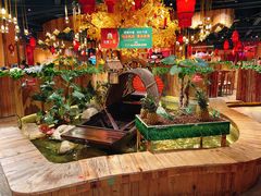 -老滇山寨•云南特色菜•地方菜•民族风情歌舞表演(金碧店)