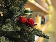 -星巴克(深圳侨城街店)