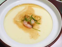 炖蛋-大鸽饭(体育西路店)