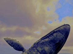 -烟台金沙滩海滨公园