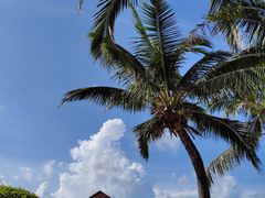 -三亚海棠湾万丽度假酒店