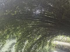 -中华贤母园-陶渊明纪念馆