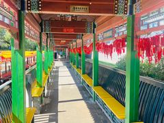 -皇家御河游(紫御湾码头)